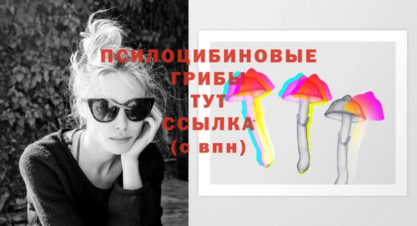 бошки Алзамай