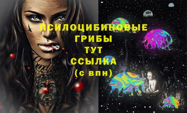бошки Алзамай